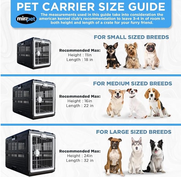 Large Collapsible Crate