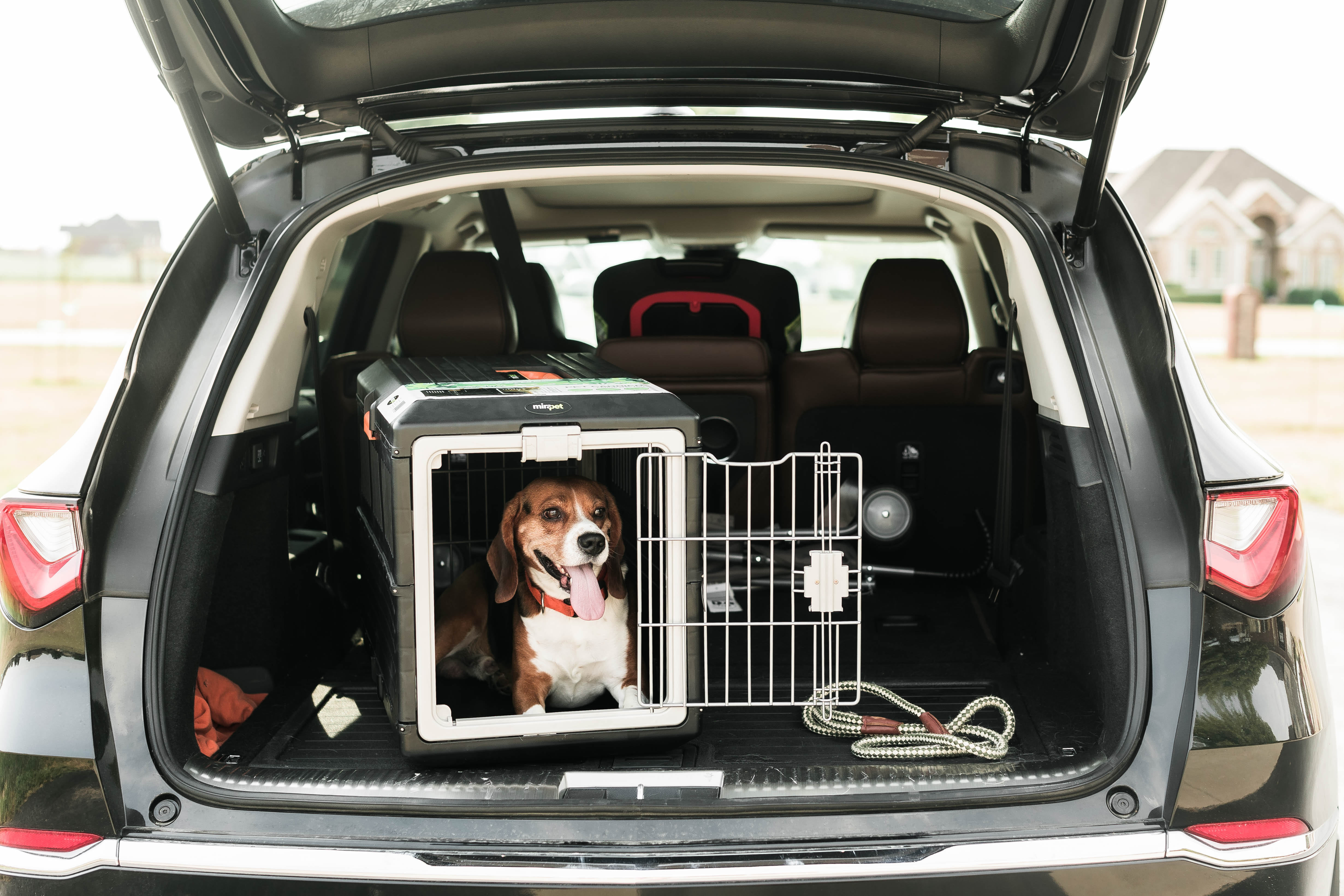 Small Collapsible Crate