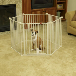 Convertible Pet Yard