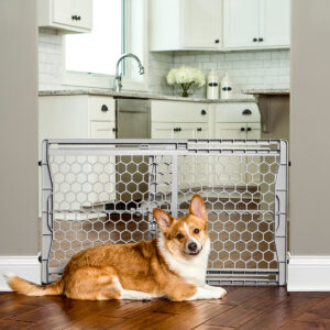 23” Plastic Expandable Pet Gate