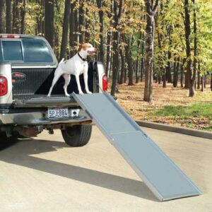 Deluxe XL Telescoping Ramp
