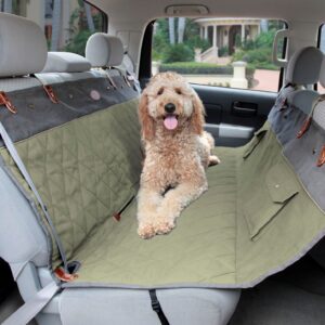 Premium Hammock – Tan/Green