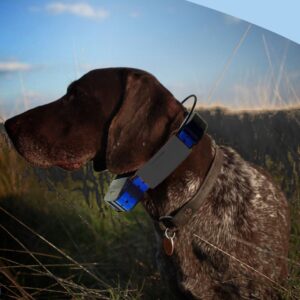 Antenna Keeper – Black