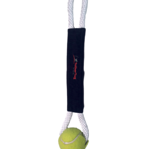Ball Toy Plus Attachment