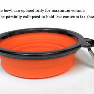 Collapsible Travel Bowl