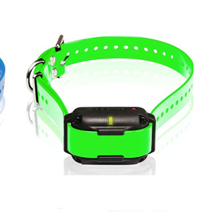 Extra Collar/Receiver for Edge RT