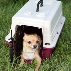 Protective Carrier/Crate – Small