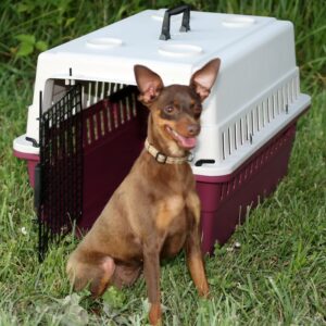 Protective Carrier/Crate – Junior