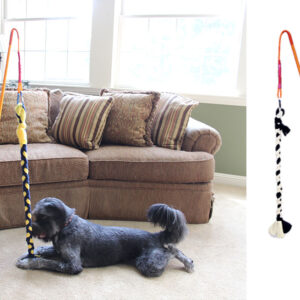Small Indoor/Outdoor Tether Tug
