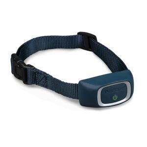 Remote Trainer Add-a-Dog