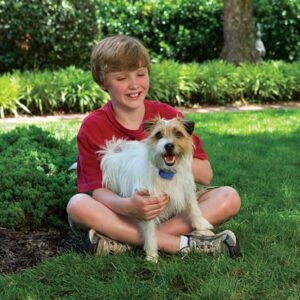 Deluxe Little Dog Spray Bark Control