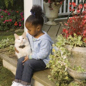 Deluxe In-Ground Cat Fence