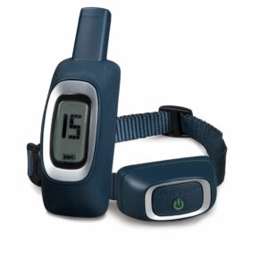 100 Yard Lite Remote Trainer