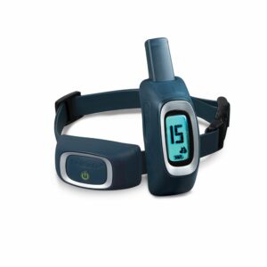 600 Yard Remote Trainer