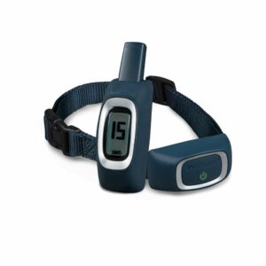 100 Yard Remote Trainer