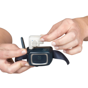 Remote Spray Trainer