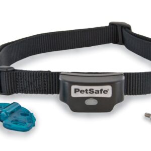 Rechargeable In-Ground Fence