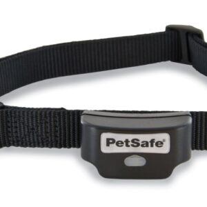 Rechargeable In-Ground Fence