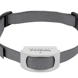 Classic In-Ground Fence™ Rechargeable Receiver