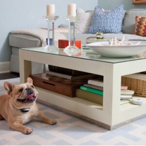 Pawz Away Mini Pet Barrier