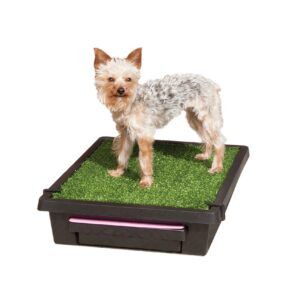 Pet Loo – Small