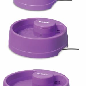 Current Pet Fountain – Large Orchid