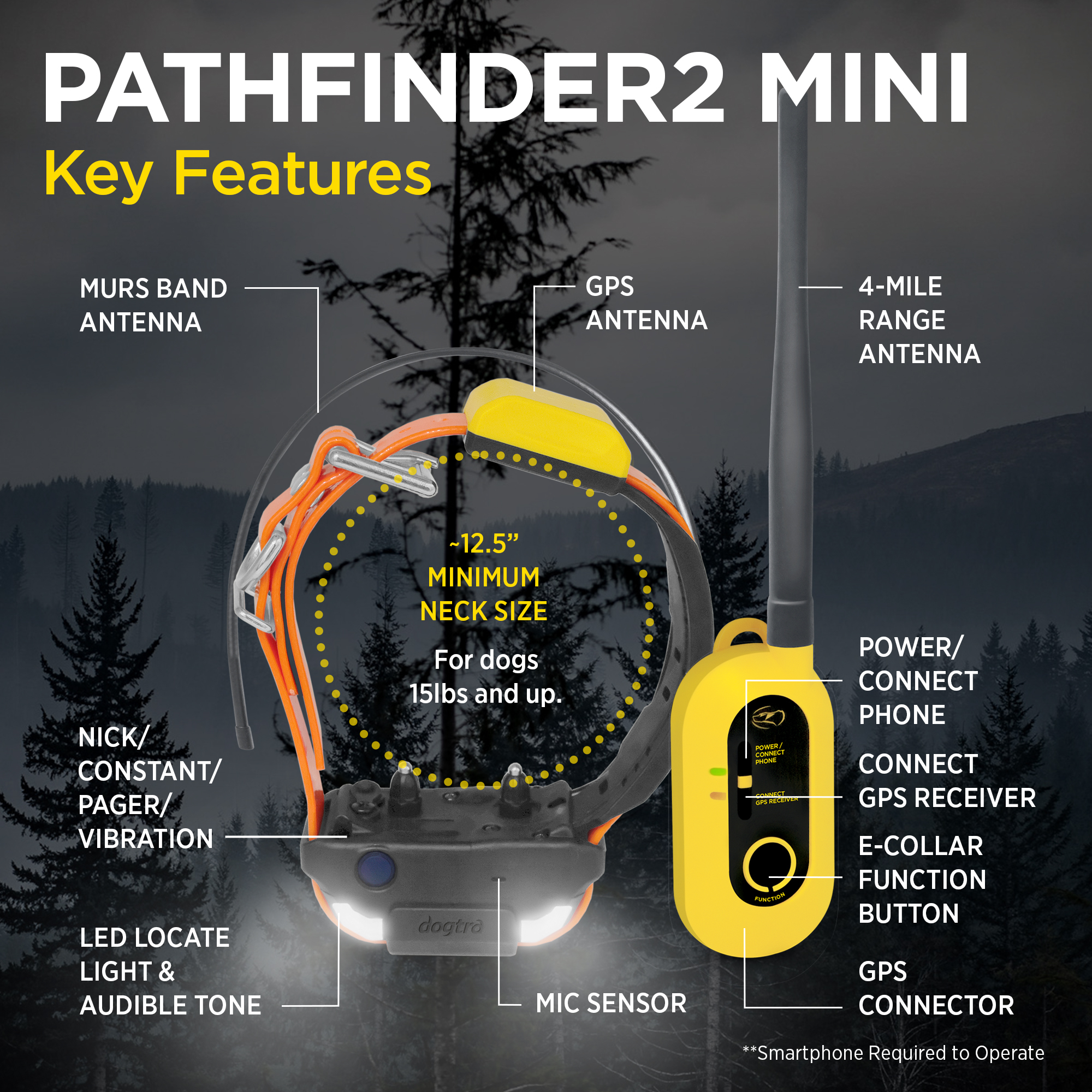 Path2Mini-1