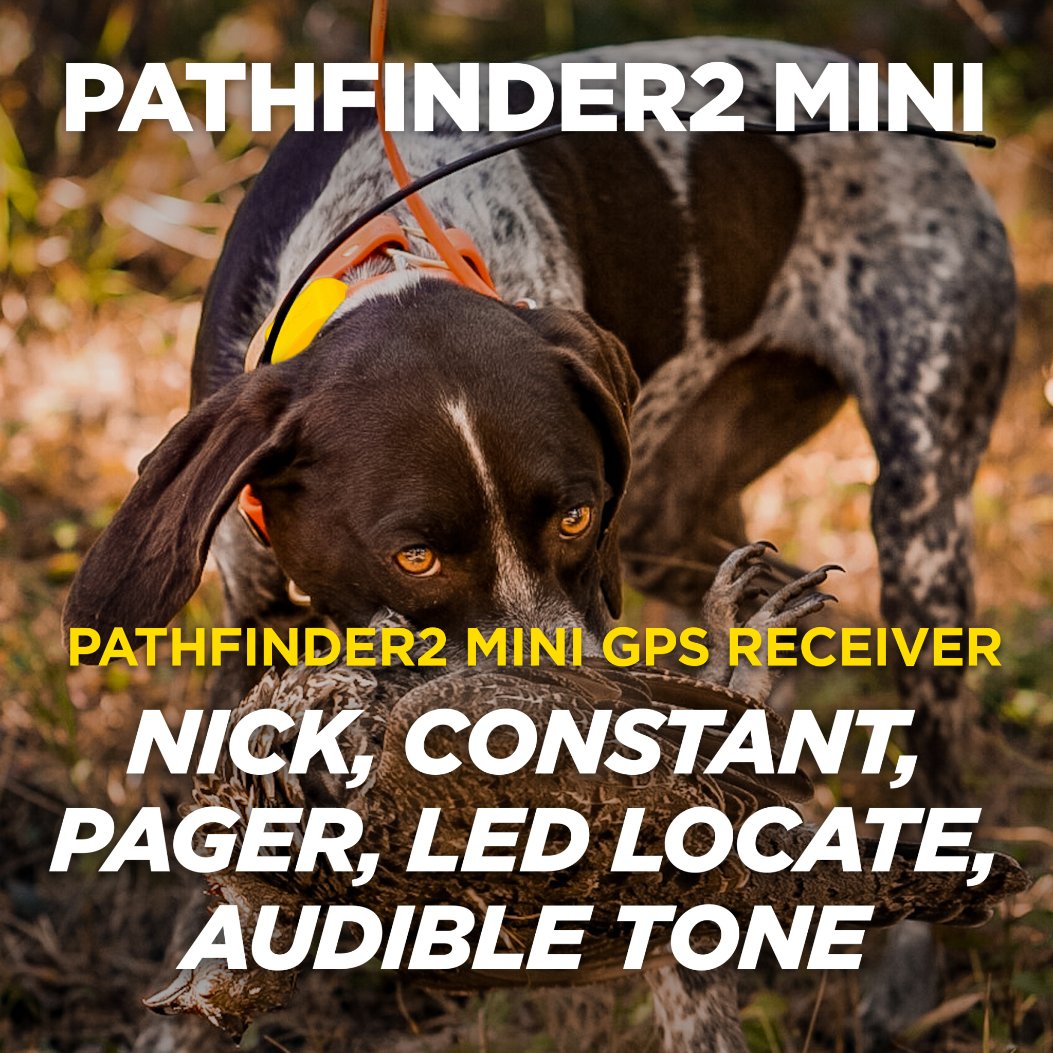 Path2Mini-2