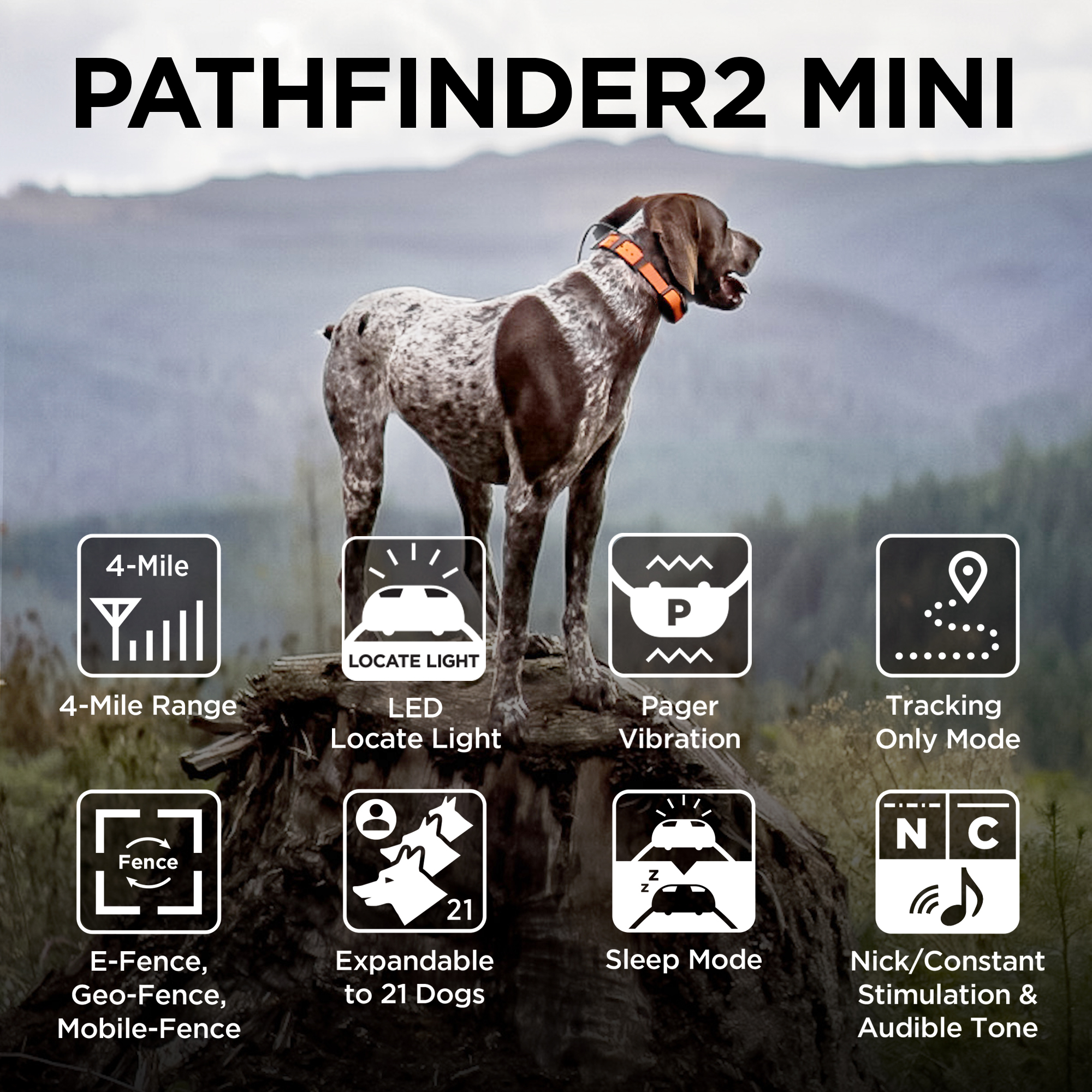 Path2Mini-5