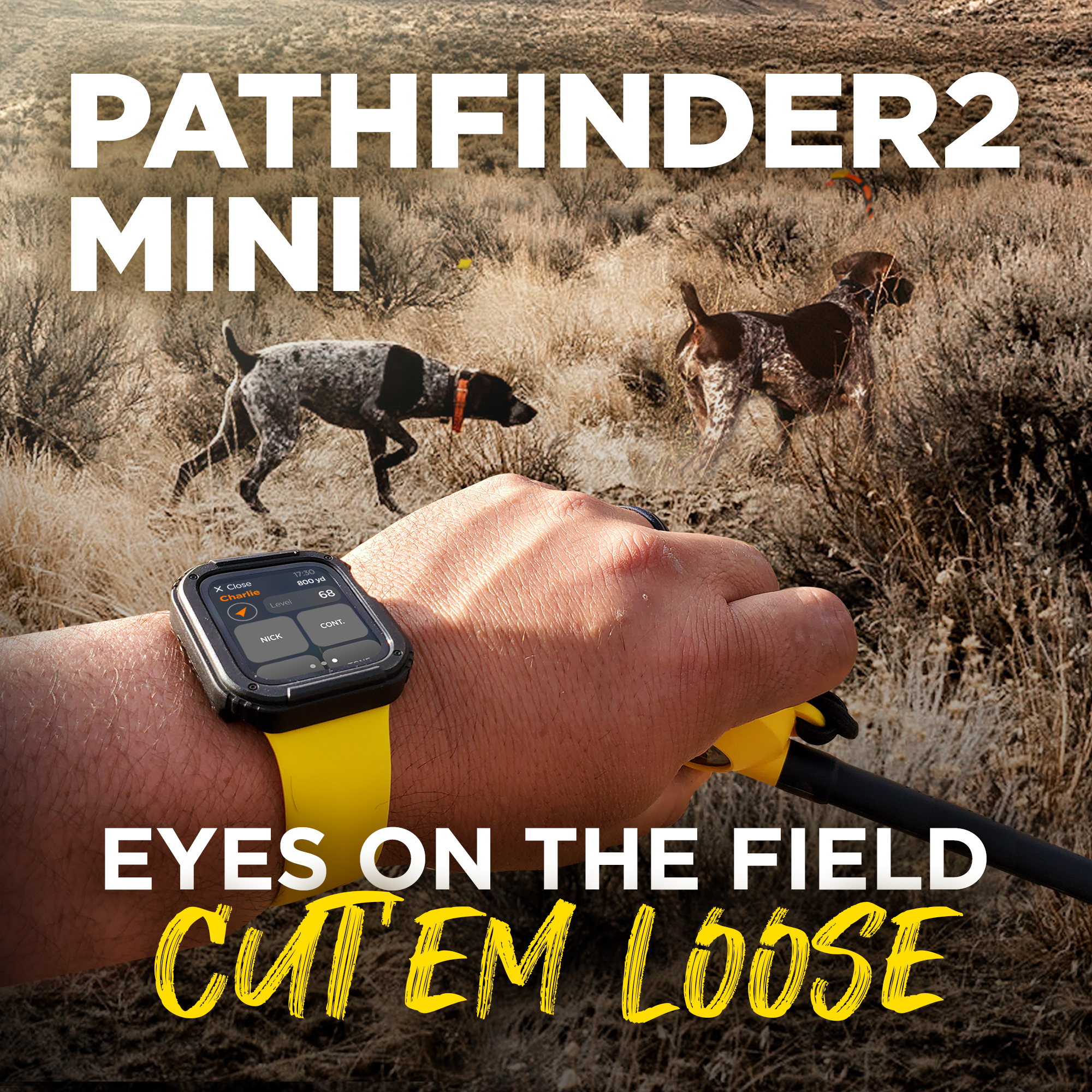 Path2Mini-6