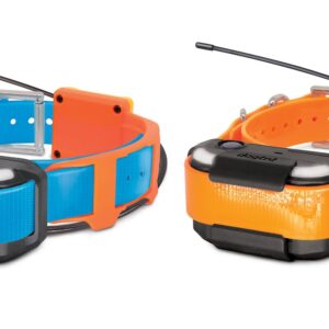 Pathfinder 2 Tracking Only Collar