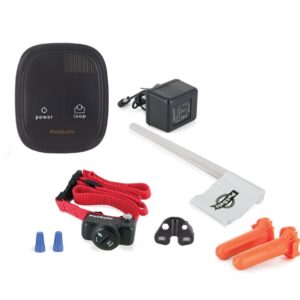 In-Ground Fence – No Wire