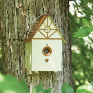 Outdoor Bark Control