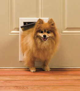 Freedom Aluminum Pet Door – Small