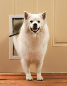 Freedom Aluminum Pet Door – Medium