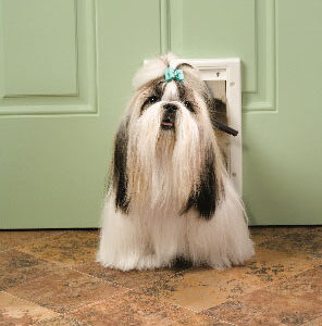 Freedom Plastic Pet Door – Small