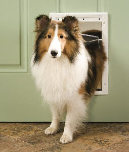 Freedom Plastic Pet Door – Medium