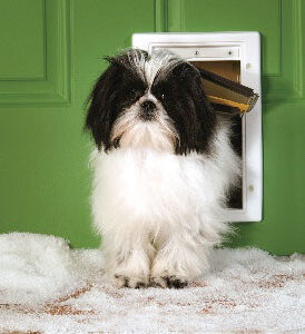 Extreme Weather Pet Door – Small