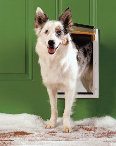 Extreme Weather Pet Door – Medium