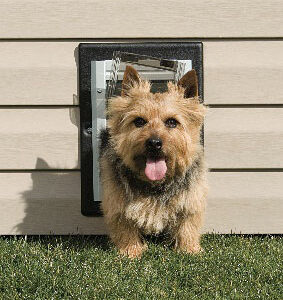 Wall Entry Pet Door – Small
