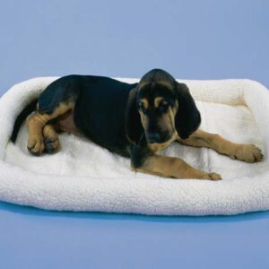 SnooZZy Original Fleece Bumper – 1000