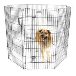 Ultimate Exercise Pen – 48