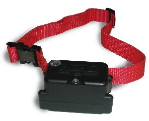 Stubborn Dog Extra Collar