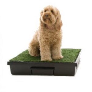 Pet Loo – Medium
