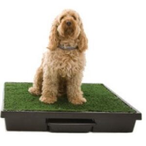 Pet Loo – Large