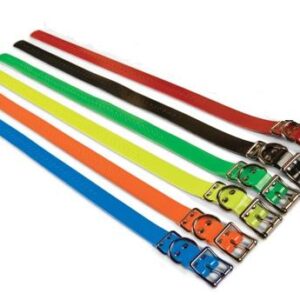 1 Inch E-collar strap