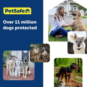 Guardian® GPS Dog Fence Collar – No subscription needed