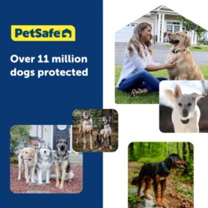 Extra collar for PIF00-17933 GPS Fence