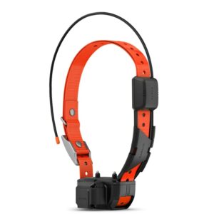 Alpha® TT 25 Dog Collar with Tracking Beeper