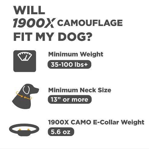 1900X Camo Extra Collar/Receiver